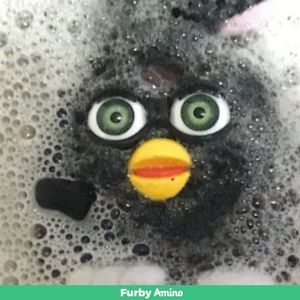 Meet your Posher, Bee